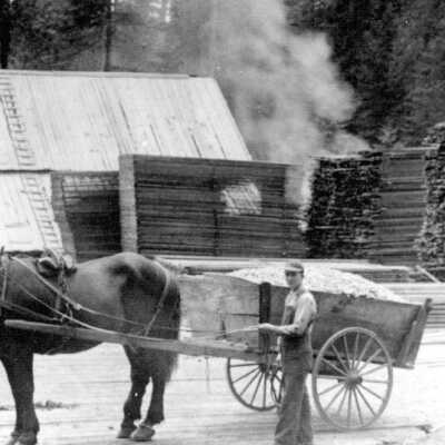 Nelson & jarl Sawmill, near Sandy, 1910.: Copyright: Clackamas County Historical Society; Origsize: 4x6; Origformat: Print-Photographic