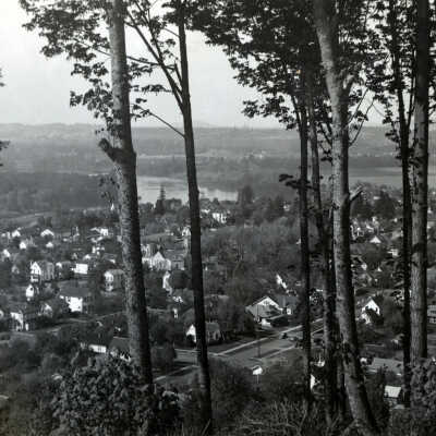 Oregon City - from Falls View