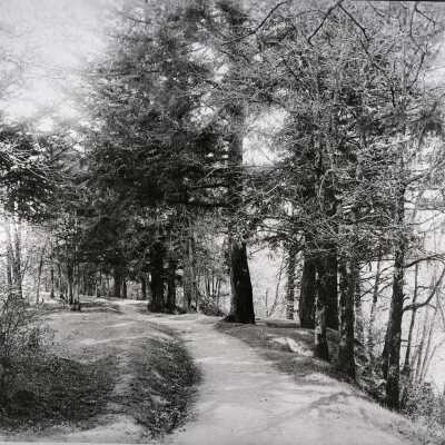 Gladstone - Path Along the Clackamas River.