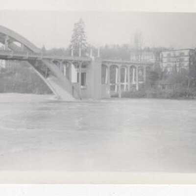 Willamette River at Flood Stage