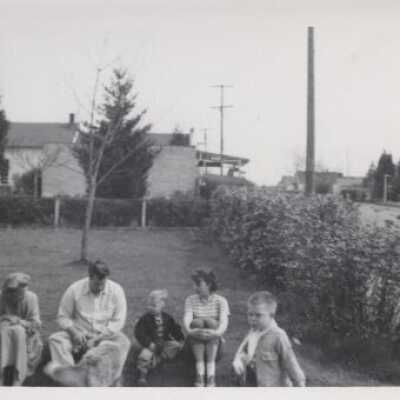 Waithowicz collection