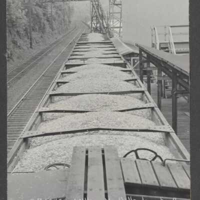 Lumber Industry