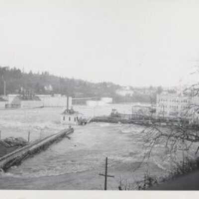 Willamette River at Flood Stage