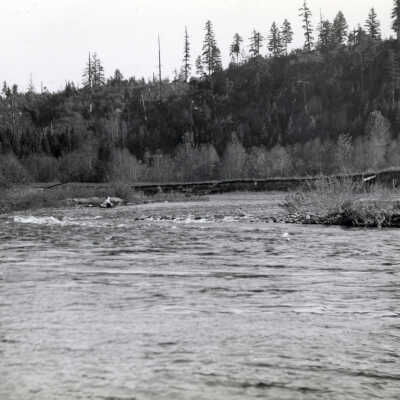 1943 Flood - Willamette River Bank