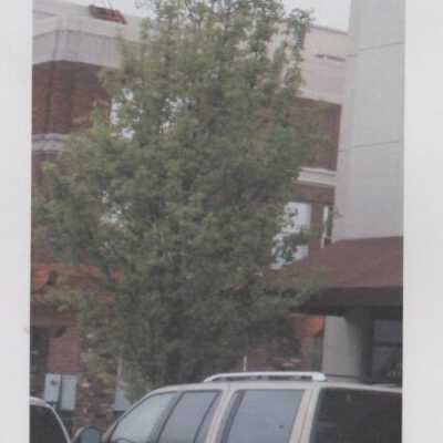 Car parked Oregon City Main st.