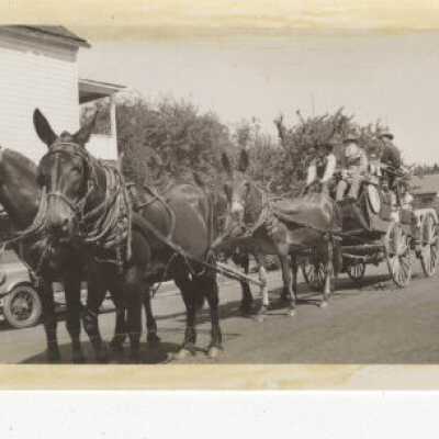 Mules and Stagecoach