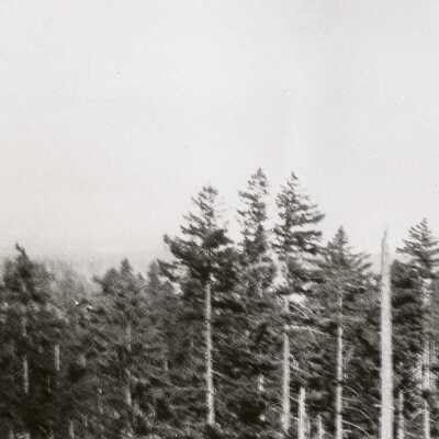Highland Butte Peg-Tree III