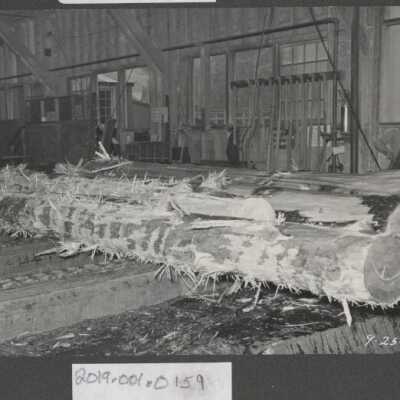 Lumber Industry