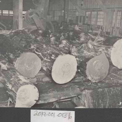 Lumber Industry