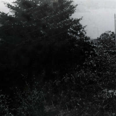 Lake Oswego 1909 - Iron Works Stack and Lower Sucker (Oswego) Creek Bridge