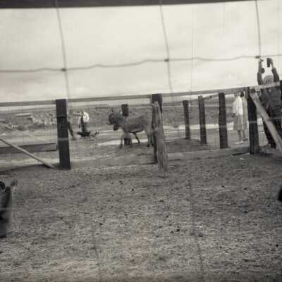 Clackamas County Historical Society Trip to Harney County, #1.