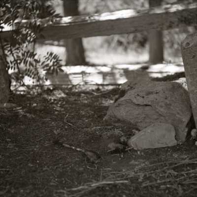 Summit Meadows Grave Markers at Mount Hood