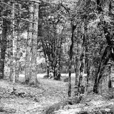 Chautauqua 1898 - Gladstone Park. Two women under trees.