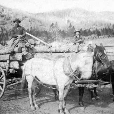 Timber hauling on wagons. Samuel Charles Rodgers, Tillamook, OR.