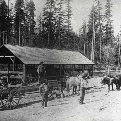 Stafford 1896 - George Saum Saw Mill - Tualatin River