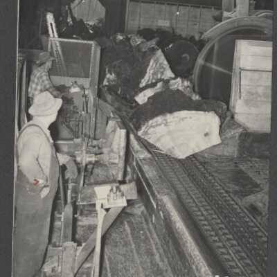 Lumber Industry