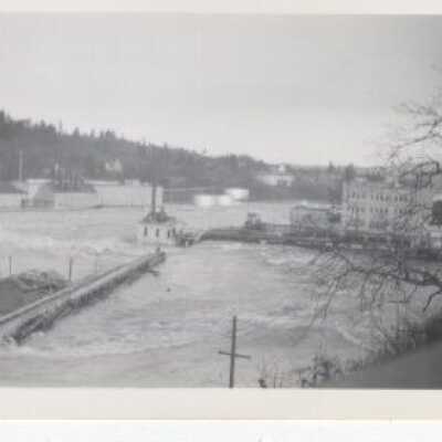 Flood - Willamette River