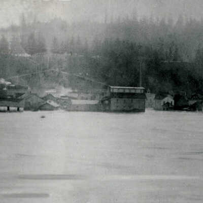 1890 Flood - 4th Street to the Falls - Panorama - Oregon City