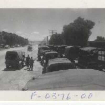 Army trucks in Rows - No Date