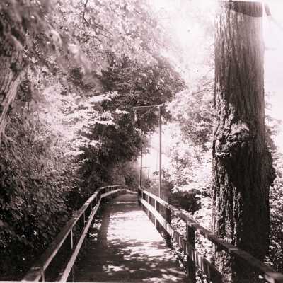 Canemah Park 1915 - Stairs