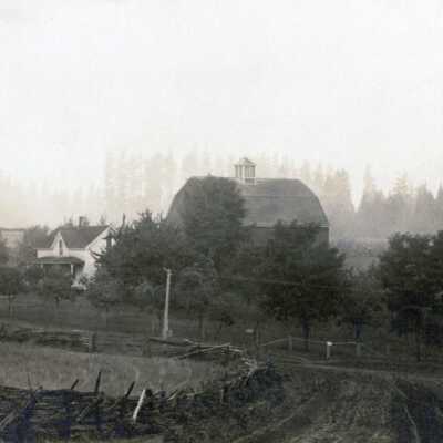 Tiedeman Farm