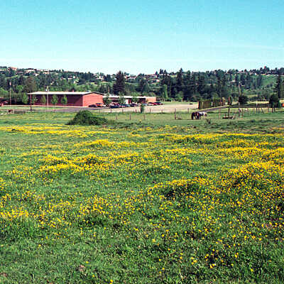 Happy Valley School and Pastures.