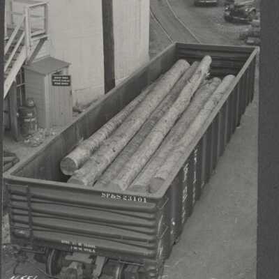 Lumber Industry