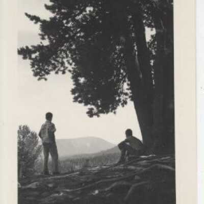 Men standing by trees