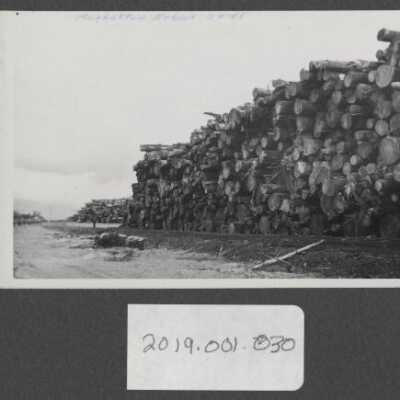 Lumber Industry