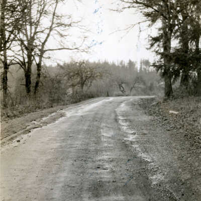 Boones Ferry Road, Lake Oswego, Oregon