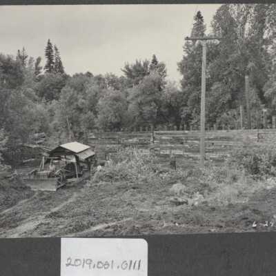 Lumber Industry