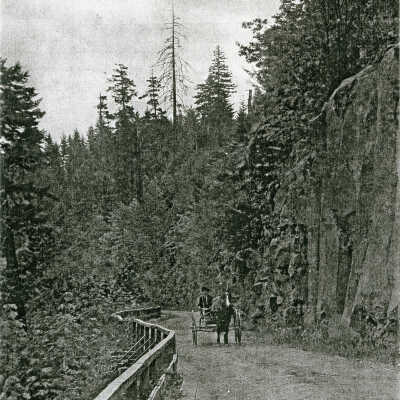 Oregon City - Horse and Buggy on South End Road
