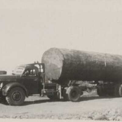 Lumber Industry