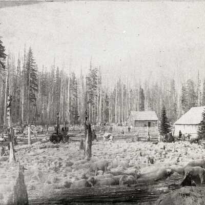 Summit Meadows House. 1800's