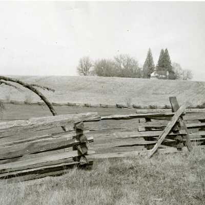 Split Rail Fence.
