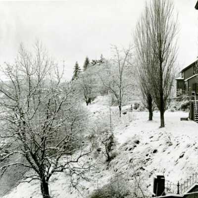 View Behind Clackamas County Courthouse. 1899.: Copyright: None; Origsize: 5" x 7"; Origformat: Print-Photographic