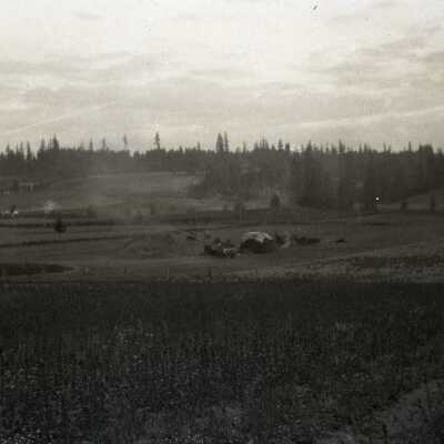 Threshing Time Near Colton #1