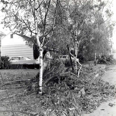 1962 Columbus Day Storm, Cleaning Up.