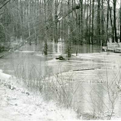 Flood, 1964.: Origformat: Print-Photographic