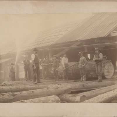 Logging