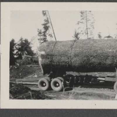 Lumber industry