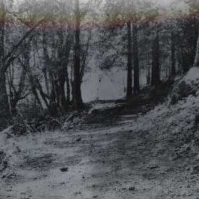 The Rose Farm - 1902 - Path in Lower Park