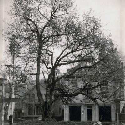 Barclay House, Oregon City, 1907.: Copyright: Clackamas County Historical Society; Origsize: 4" x 6"; Origformat: Print-Photographic