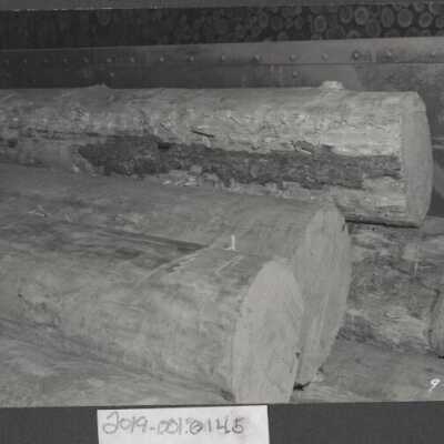 Lumber Industry