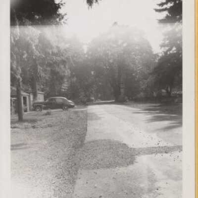 Gladstone Pow-Wow Tree - 1936 - Copy
