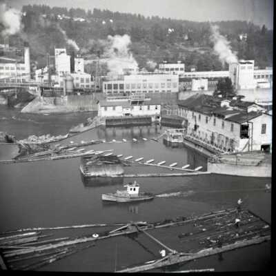 Willamette Falls and Boat Basin