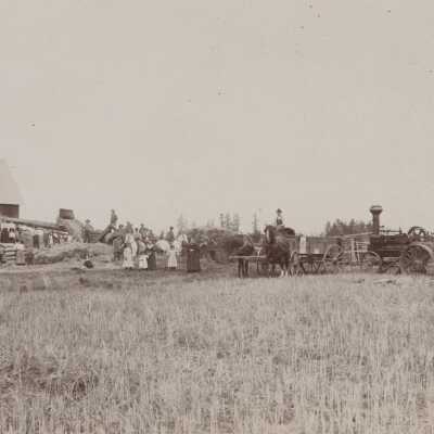 Hay harvesting