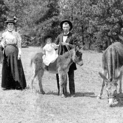Man, Woman and Child with Three Donkeys..