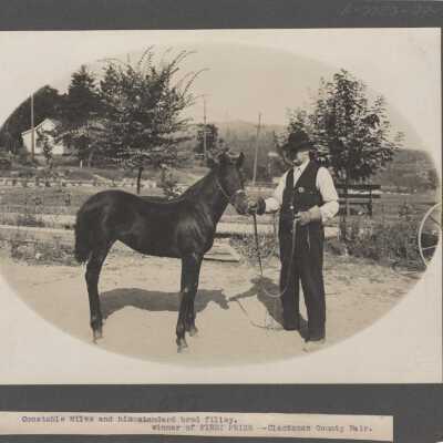 Man and Horse