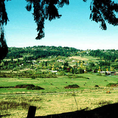 Horse Pastures near Happy Valley School.